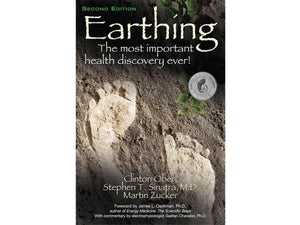 Book english - Earthing (320 p., Clinton Ober, S. Stephen, M. Zucker) - Aarding