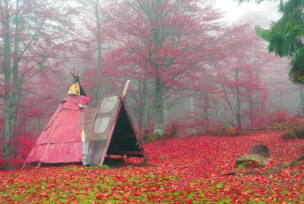 10 Ways to Reconnect Yourself With the Earth | Aarding™