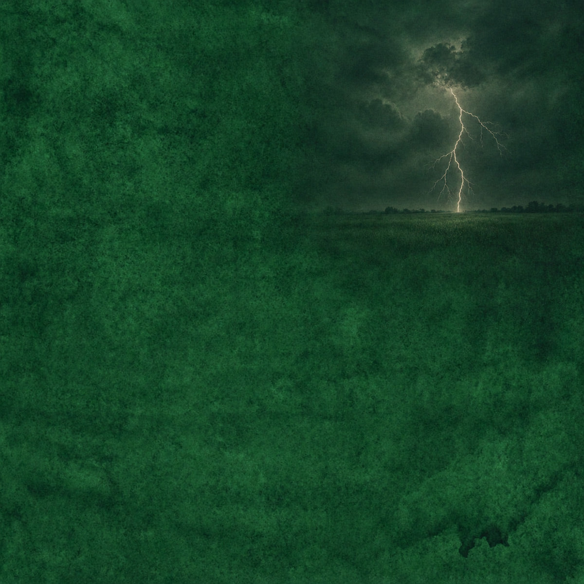A moody storm landscape artwork showing a bright lightning strike in a dark cloudy sky over a field, rendered in deep green and black tones with a pale yellow-white lightning bolt.